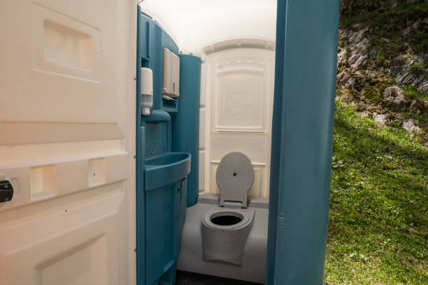 Best Portable Toilets with Baby Changing Stations  in Stanley, VA